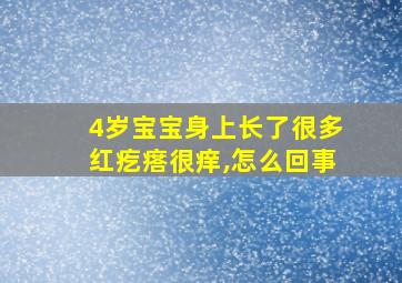 4岁宝宝身上长了很多红疙瘩很痒,怎么回事