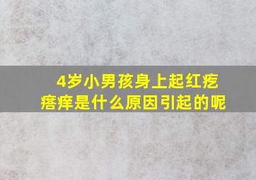 4岁小男孩身上起红疙瘩痒是什么原因引起的呢