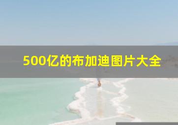 500亿的布加迪图片大全