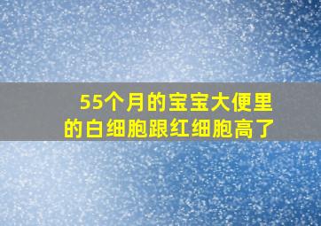 55个月的宝宝大便里的白细胞跟红细胞高了