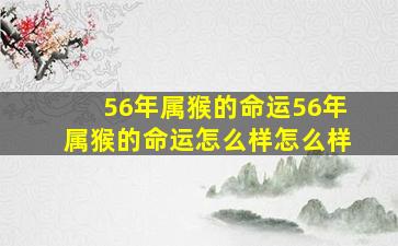 56年属猴的命运56年属猴的命运怎么样怎么样