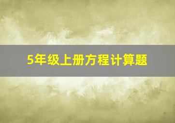 5年级上册方程计算题