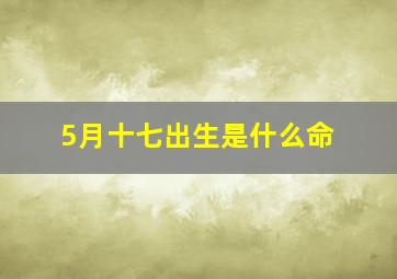 5月十七出生是什么命