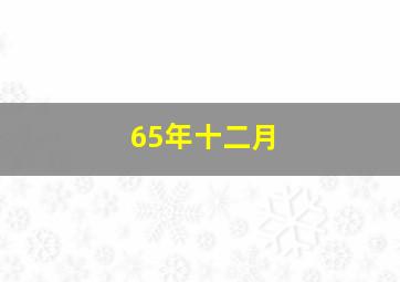 65年十二月