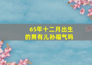 65年十二月出生的男有儿孙福气吗