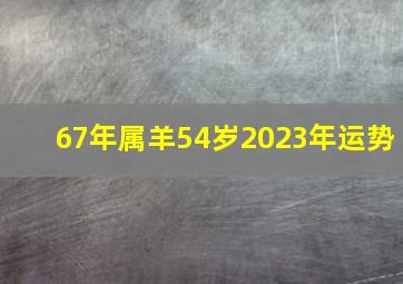 67年属羊54岁2023年运势