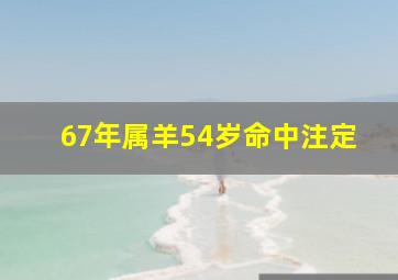 67年属羊54岁命中注定