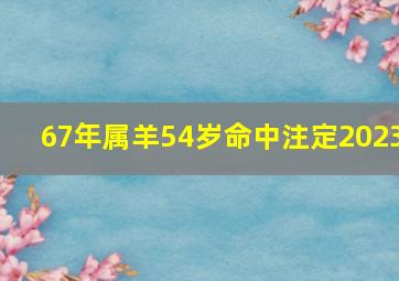 67年属羊54岁命中注定2023