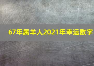 67年属羊人2021年幸运数字