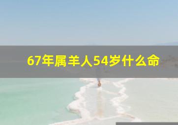 67年属羊人54岁什么命