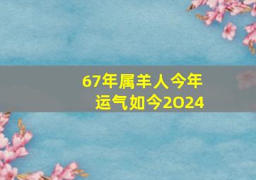 67年属羊人今年运气如今2O24