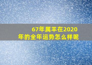 67年属羊在2020年的全年运势怎么样呢