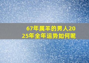 67年属羊的男人2025年全年运势如何呢