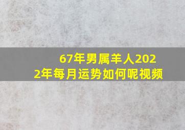 67年男属羊人2022年每月运势如何呢视频