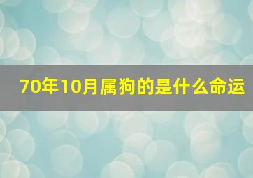 70年10月属狗的是什么命运