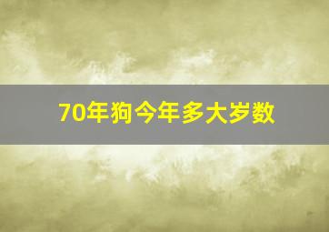 70年狗今年多大岁数