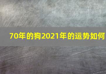 70年的狗2021年的运势如何