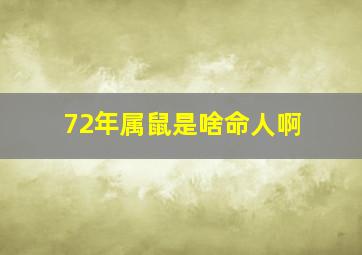 72年属鼠是啥命人啊