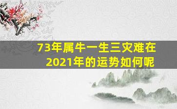 73年属牛一生三灾难在2021年的运势如何呢