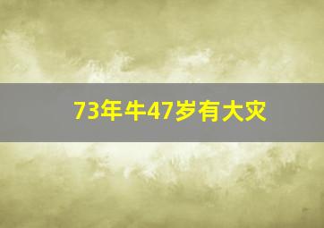 73年牛47岁有大灾