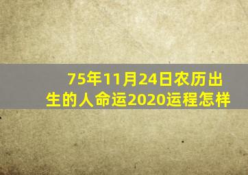 75年11月24日农历出生的人命运2020运程怎样