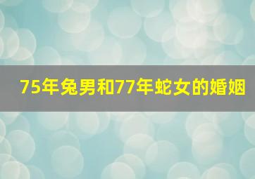 75年兔男和77年蛇女的婚姻