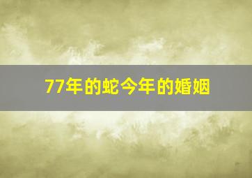 77年的蛇今年的婚姻