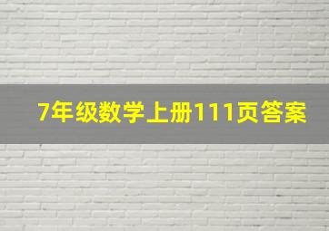 7年级数学上册111页答案