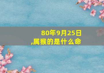 80年9月25日,属猴的是什么命