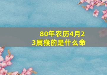 80年农历4月23属猴的是什么命