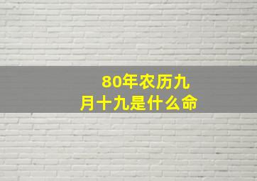 80年农历九月十九是什么命