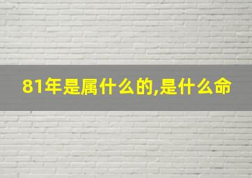 81年是属什么的,是什么命