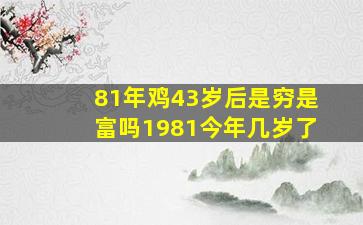 81年鸡43岁后是穷是富吗1981今年几岁了