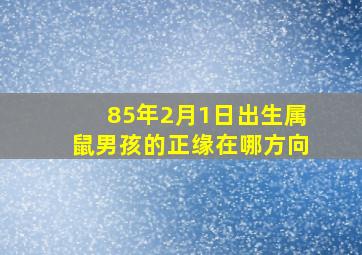 85年2月1日出生属鼠男孩的正缘在哪方向