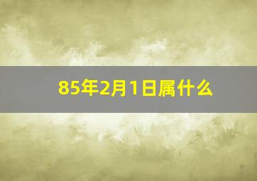 85年2月1日属什么