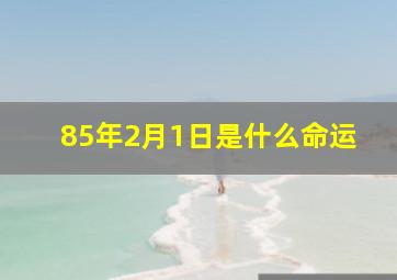 85年2月1日是什么命运