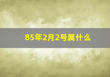 85年2月2号属什么