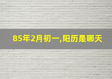 85年2月初一,阳历是哪天