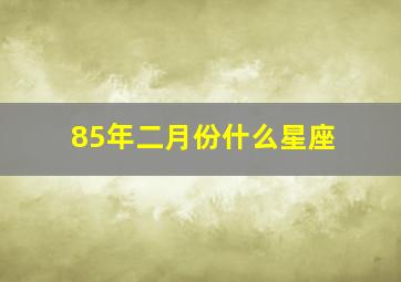 85年二月份什么星座