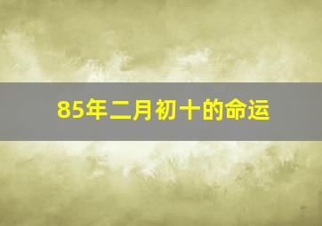 85年二月初十的命运