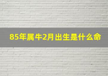 85年属牛2月出生是什么命