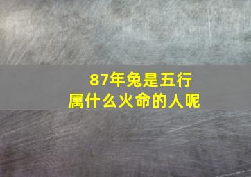 87年兔是五行属什么火命的人呢