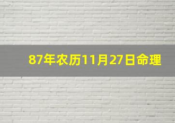 87年农历11月27日命理