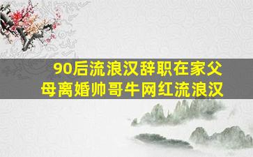 90后流浪汉辞职在家父母离婚帅哥牛网红流浪汉