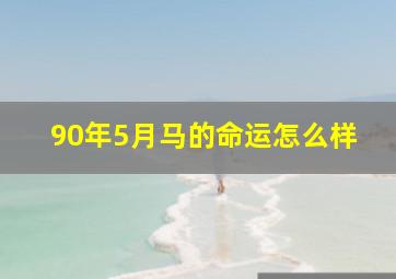 90年5月马的命运怎么样