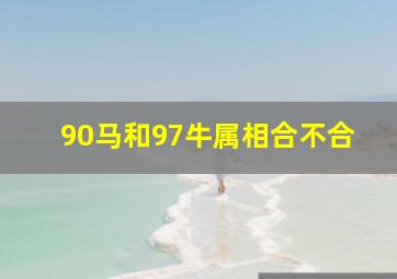 90马和97牛属相合不合