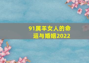 91属羊女人的命运与婚姻2022