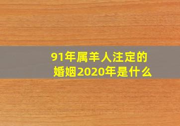 91年属羊人注定的婚姻2020年是什么