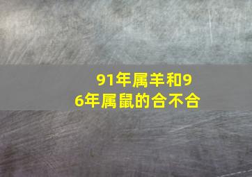 91年属羊和96年属鼠的合不合