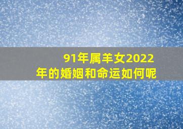 91年属羊女2022年的婚姻和命运如何呢